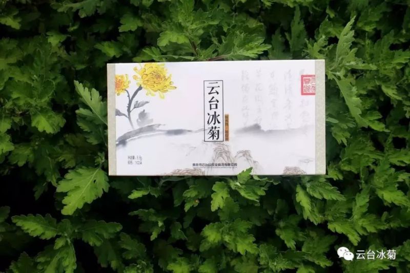 存一夏炙熱，耀一秋豐收！