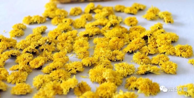 2018，種下希望，靜待花開！